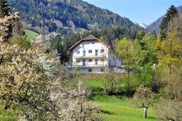 Haus Pflaum Daire Dellach im Drautal Dış mekan fotoğraf